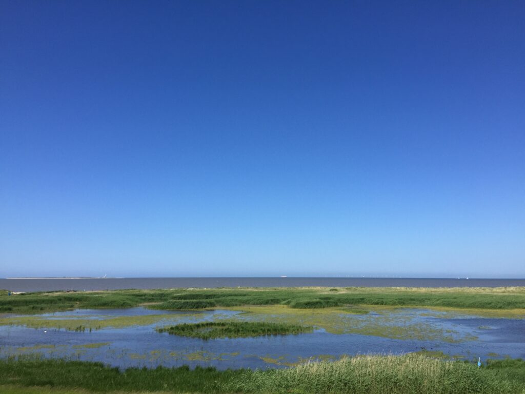 Himmelblau